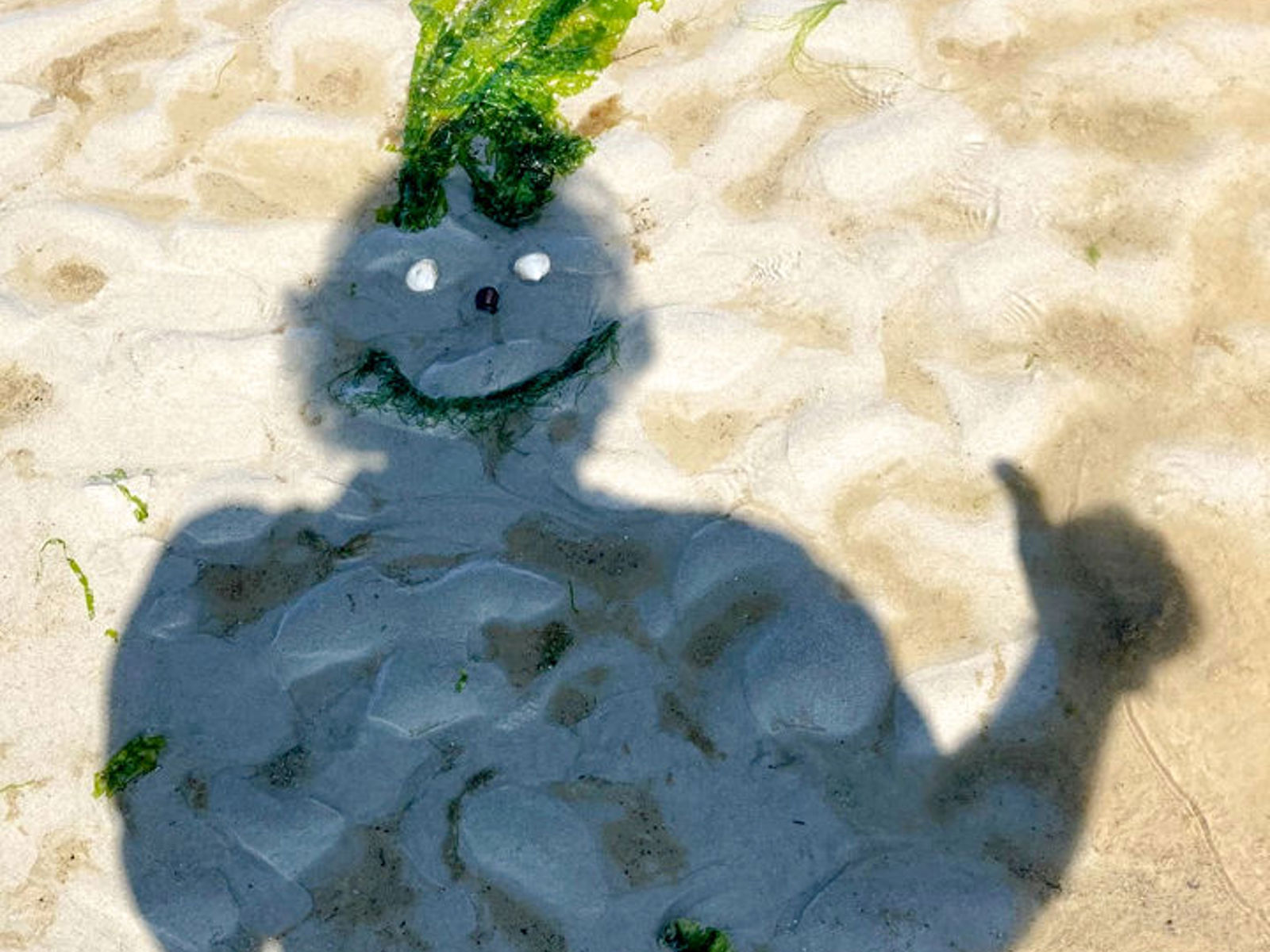 Balder Waddenwandeling Wattwanderung Seabottom Hike