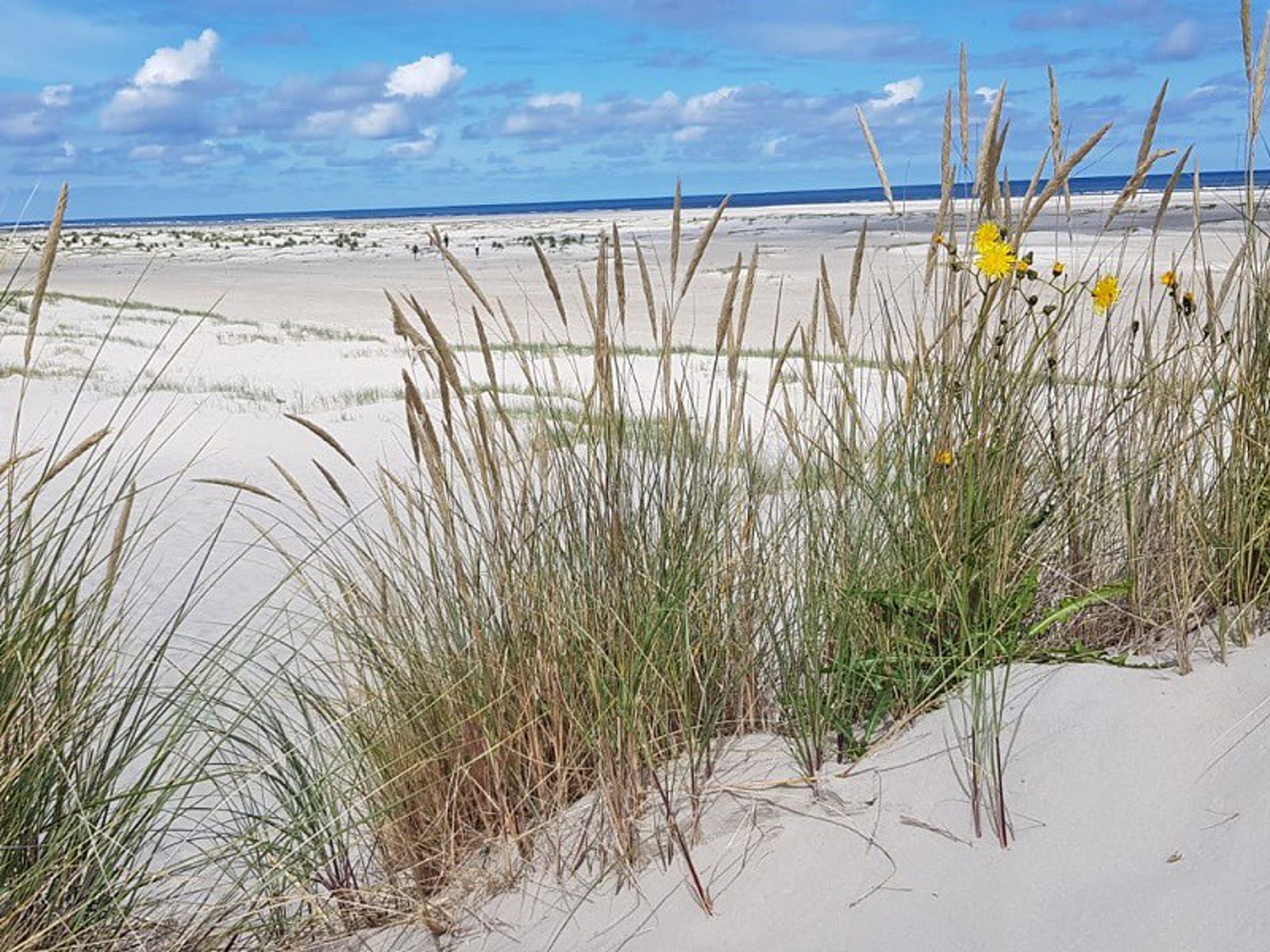 Eilanden duinen / Islands and Dunes / Inseln und Dünen