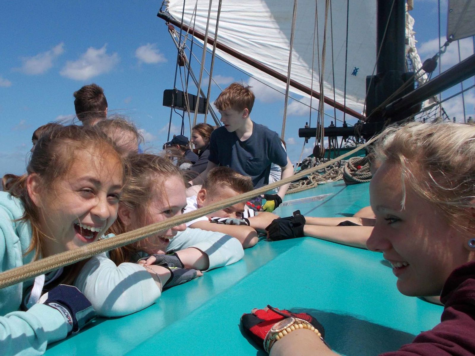 Pelikaan Aan Dek An Deck On Deck