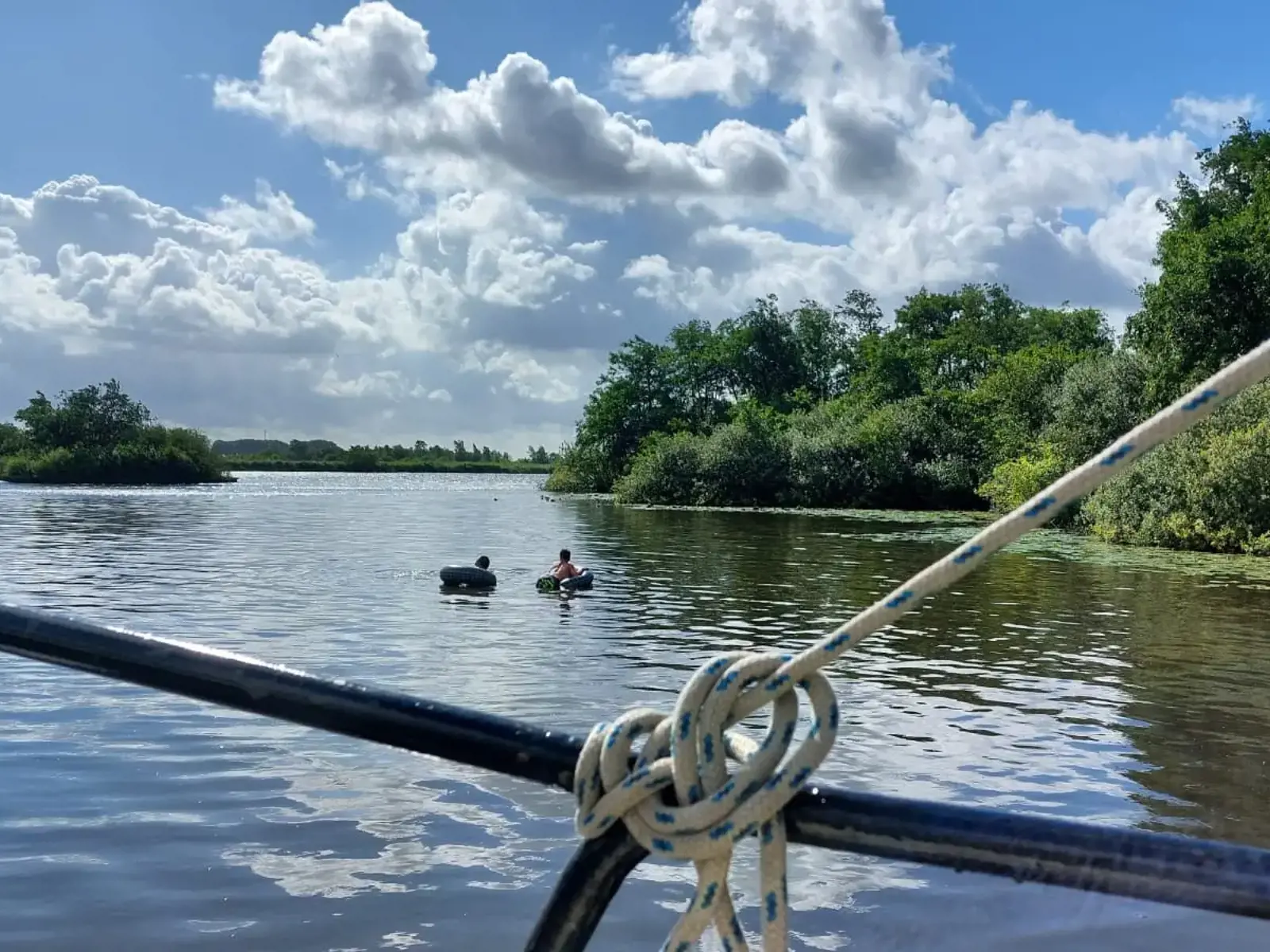 Trouwe Hulp Zwemmen Schwimmen Swimming