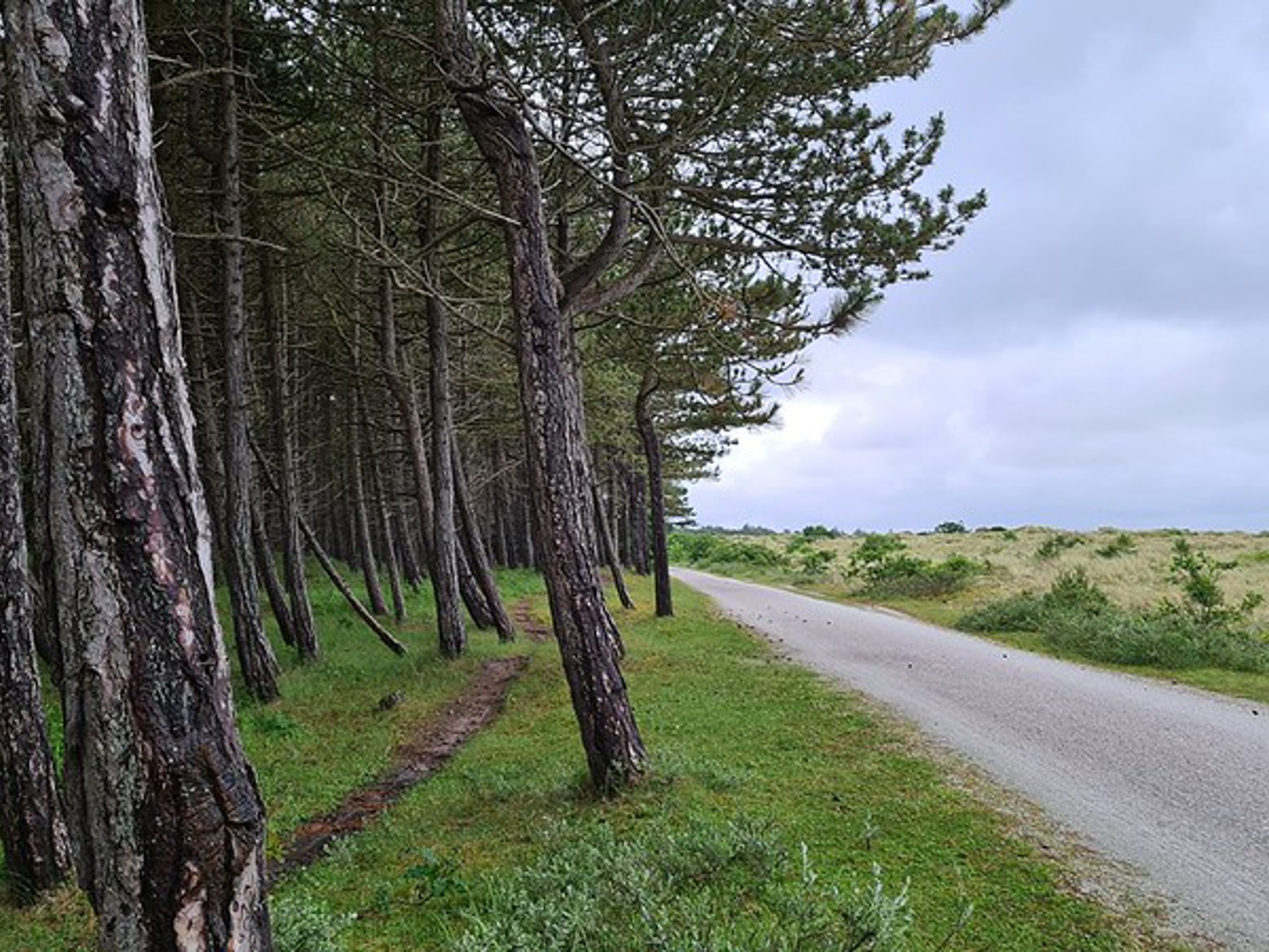Eiland natuur
