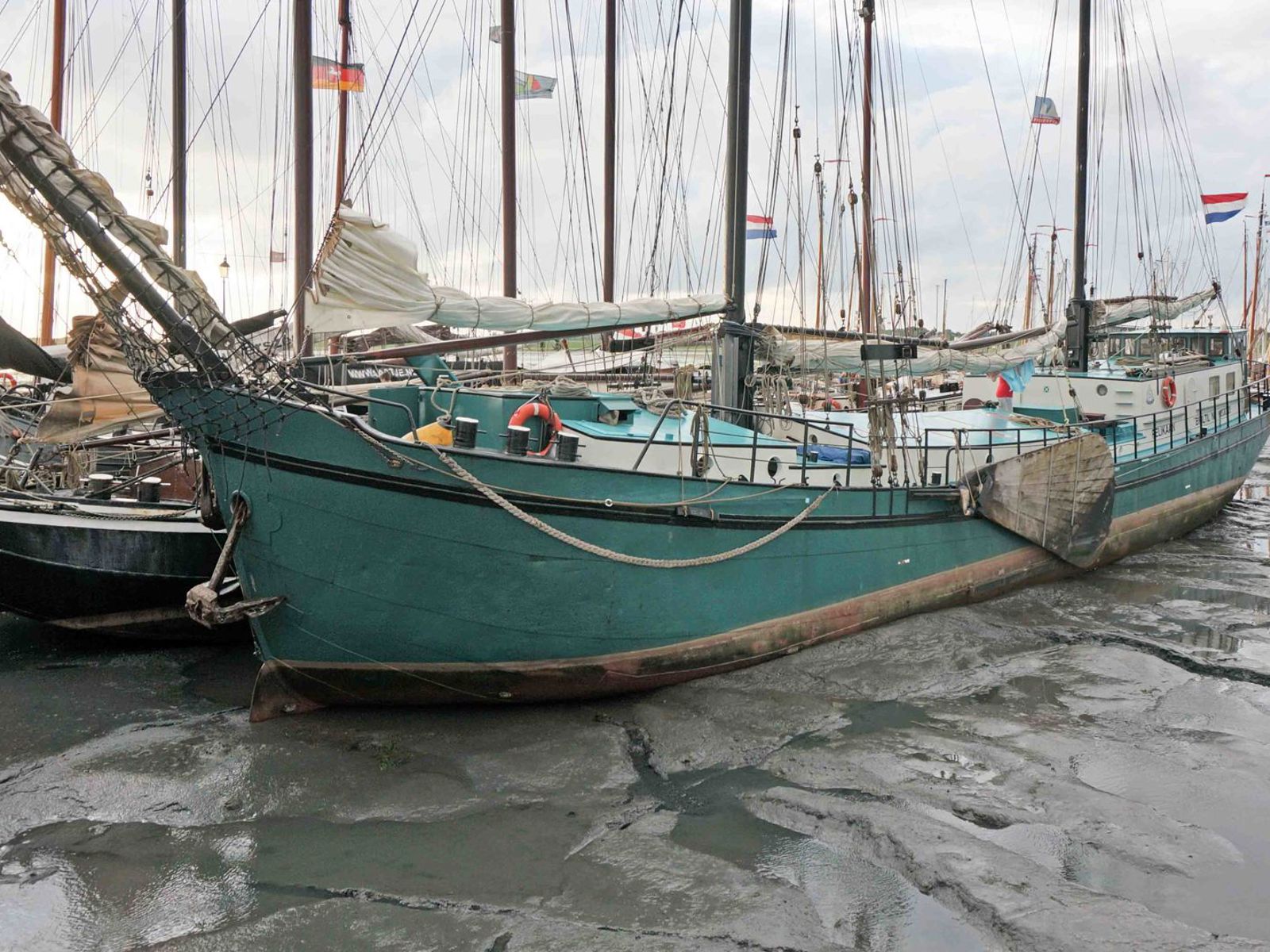 Pelikaan Schiermonnikoog